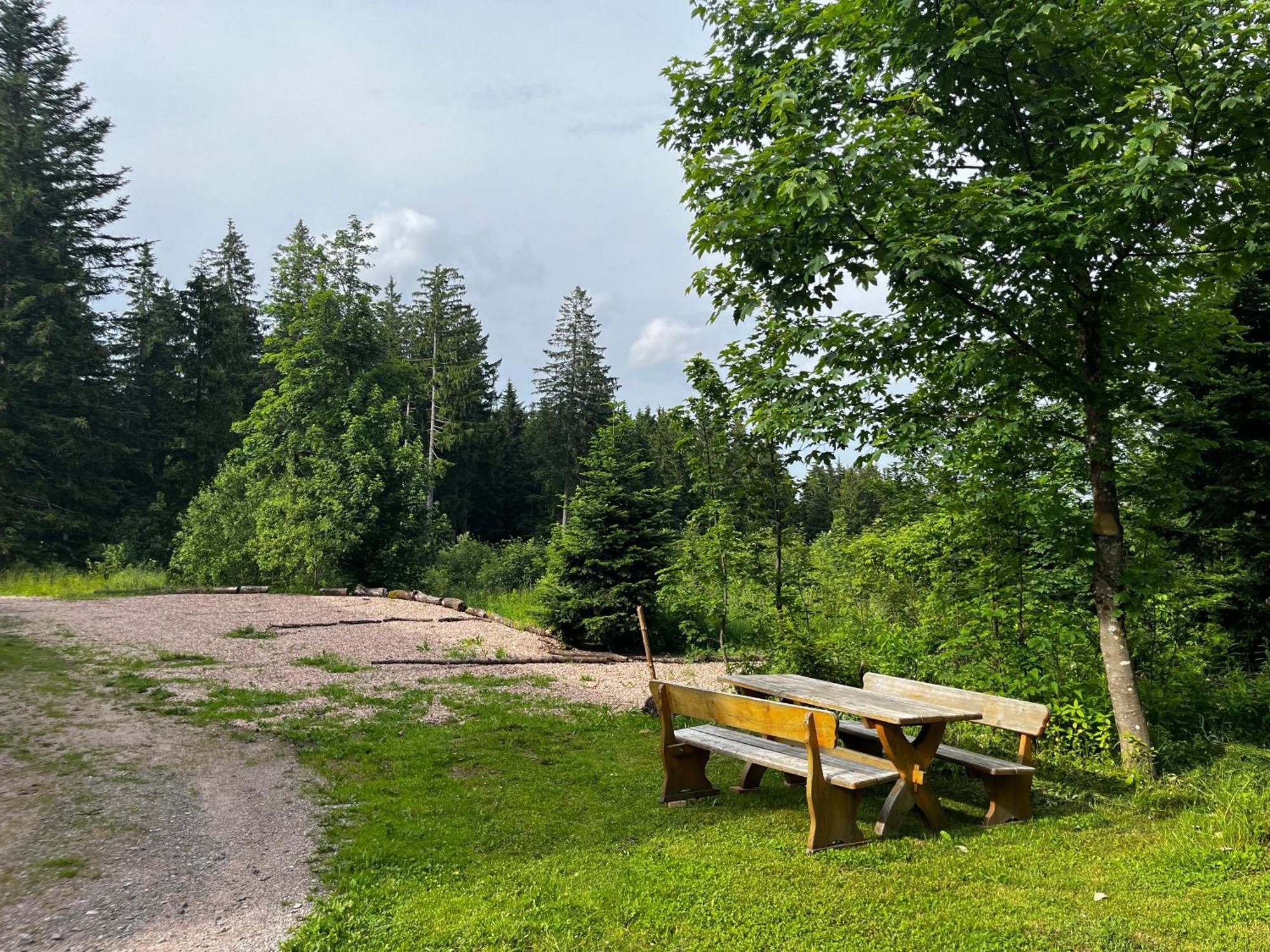 Naturfreundehaus Brend Фуртванген Экстерьер фото