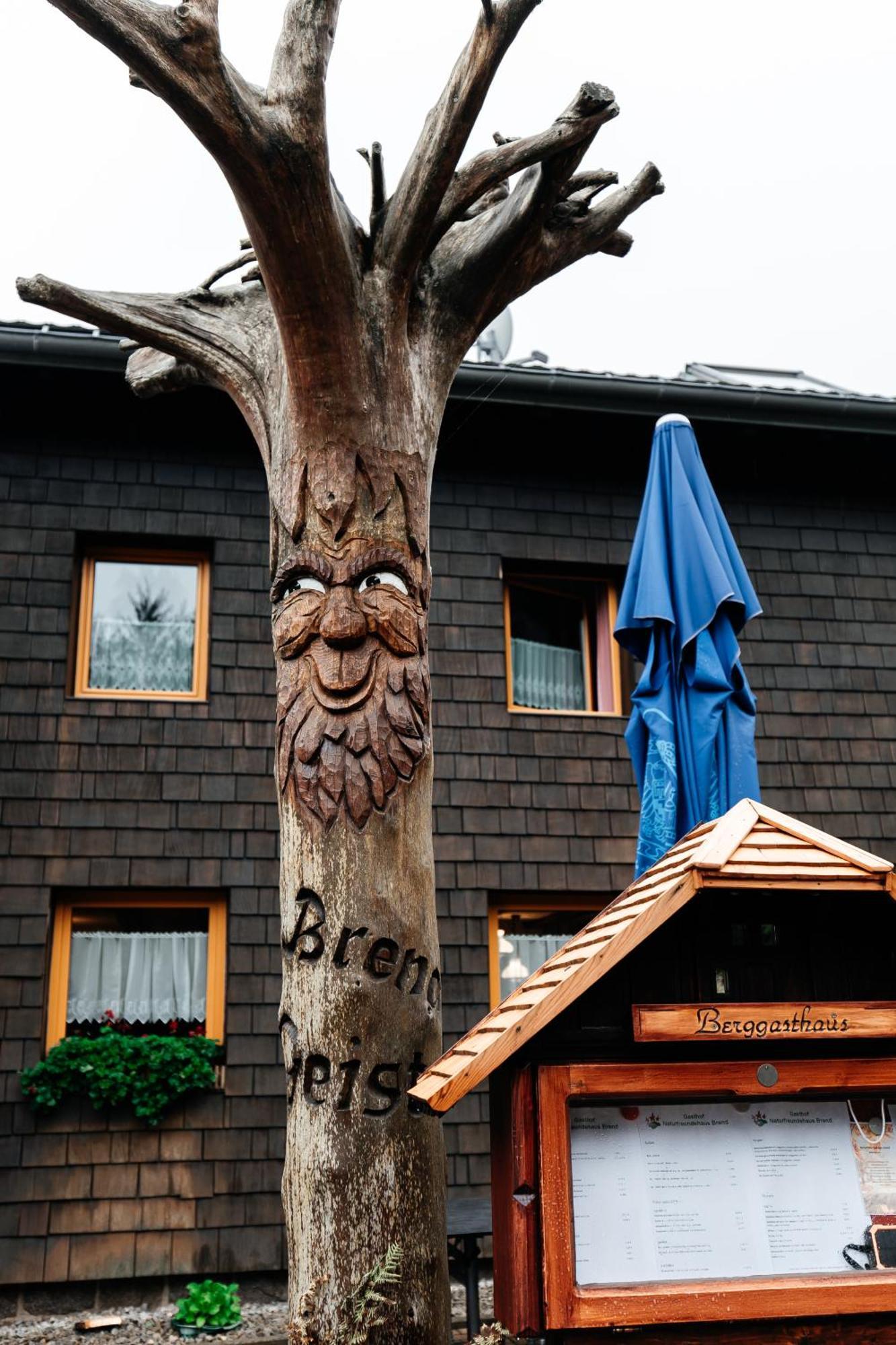 Naturfreundehaus Brend Фуртванген Экстерьер фото