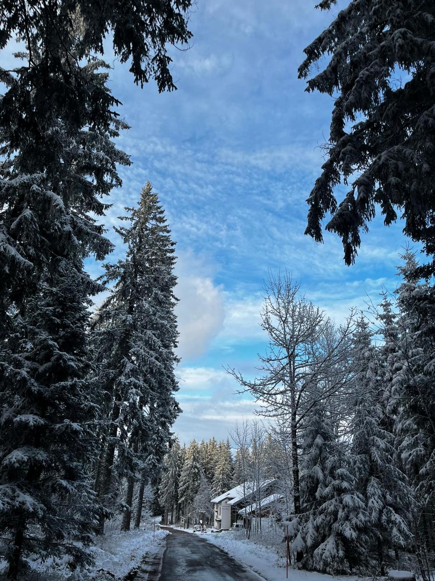 Naturfreundehaus Brend Фуртванген Экстерьер фото